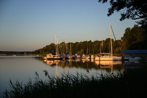Brandenburg ist reich an Seen und zieht Wassertouristen an. (Archivbild) Foto: Patrick Pleul/dpa