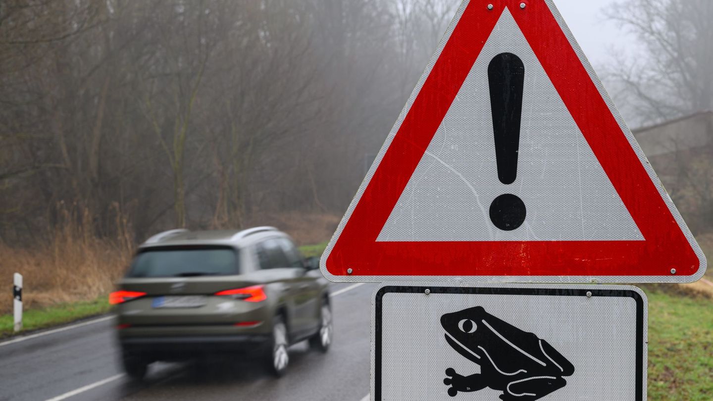 Etwa Mitte März beginnt in Thüringen die jährliche Wanderung von Kröten, Fröschen und Molchen zu den Laichplätzen, bei der die T