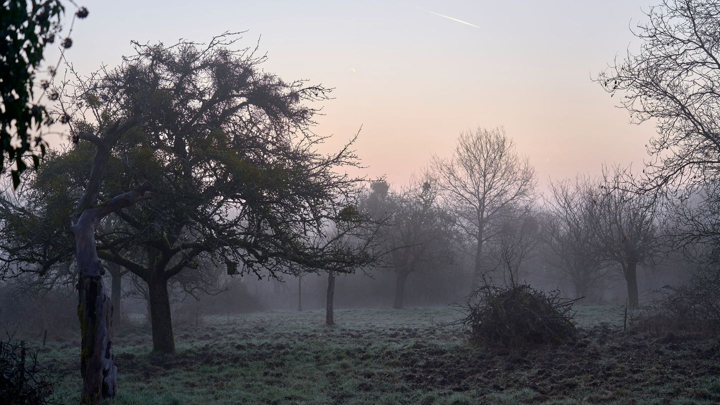 Wetterbilanz: DWD: Winter in Hessen sonnig und sehr mild