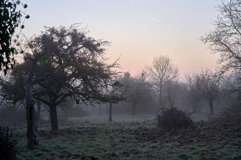 Zum Ende des meteorologischen Winters gab es in Hessen noch ein Mal Sonne. Foto: Sascha Ditscher/dpa