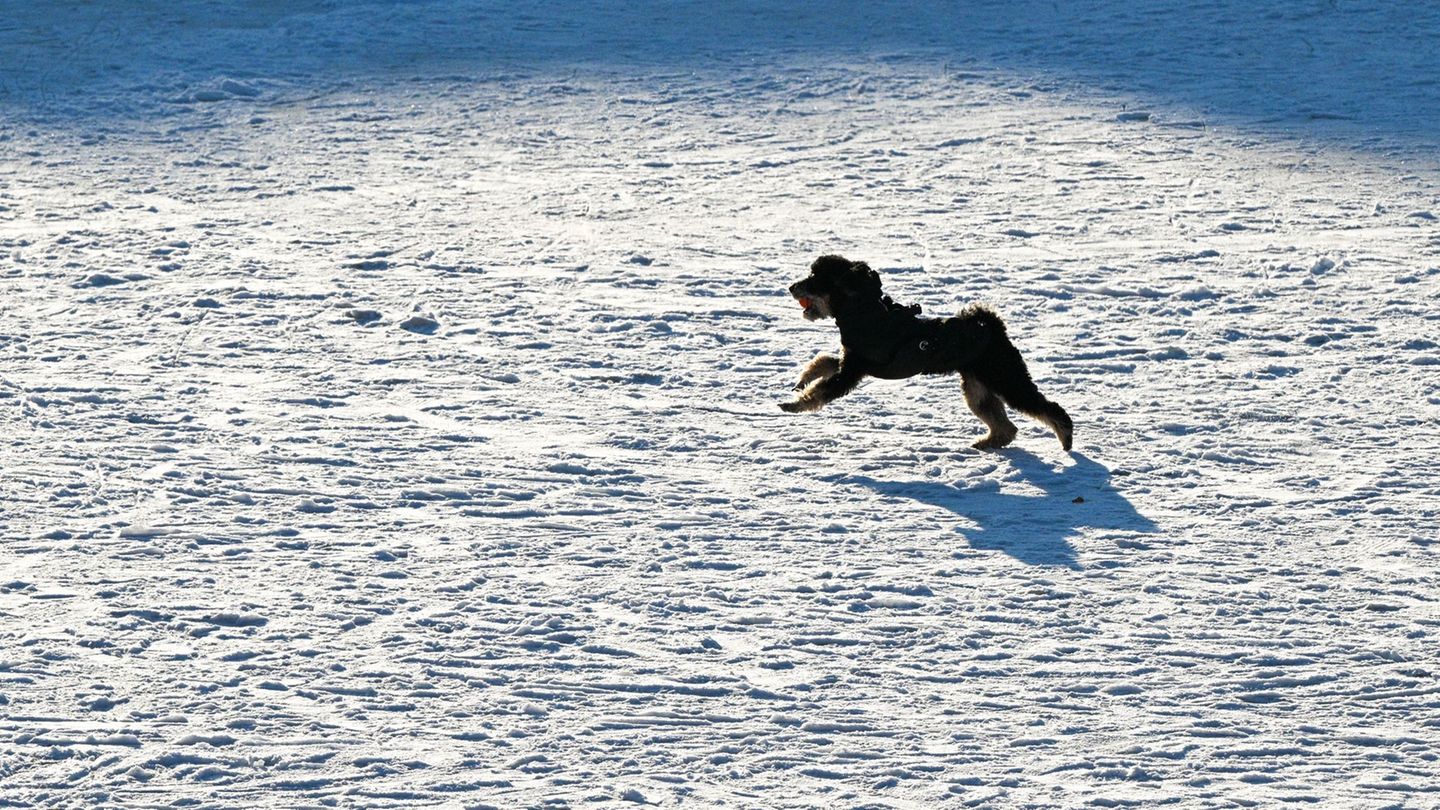 Wetter: Berlin hatte den schneereichsten Winter seit 2012