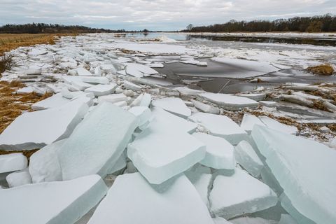 Auf dem deutsch-polnischen Grenzflusses Oder bildeten sich mächtige Eisschollen. (Archivbild) Foto: Patrick Pleul/dpa