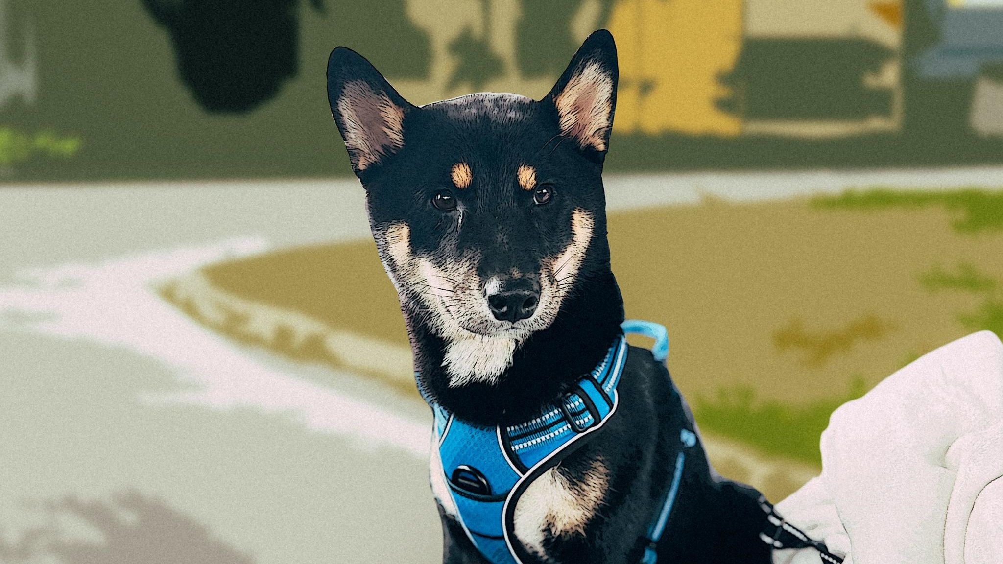 Montage: Ein Shiba-Inu Hund sitzt am Wegesrand einer Raststätte.