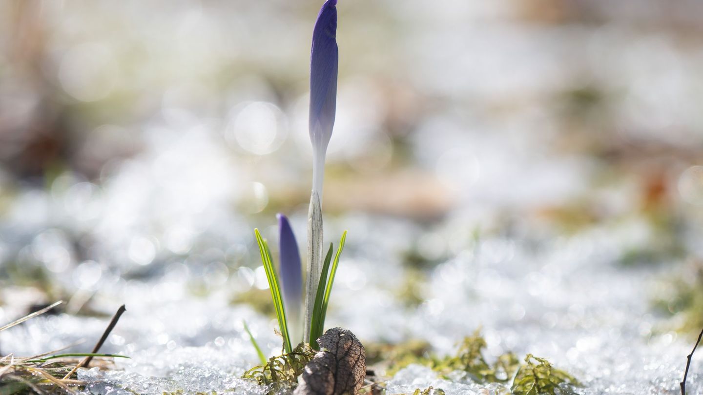 Winterwetter: Ziemlich trocken und sonnig - der Winter in Sachsen