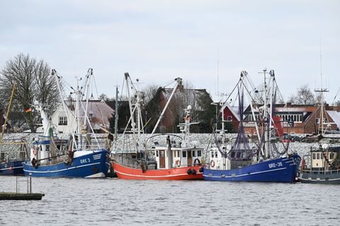 Der Februar brachte Wetterkontraste mit sich, war aber bis auf die letzten Februar-Tage vor allem von hartnäckiger Kälte geprägt