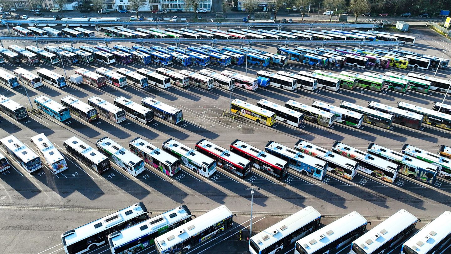 Die Busse blieben im Depot. Foto: Laszlo Pinter/dpa