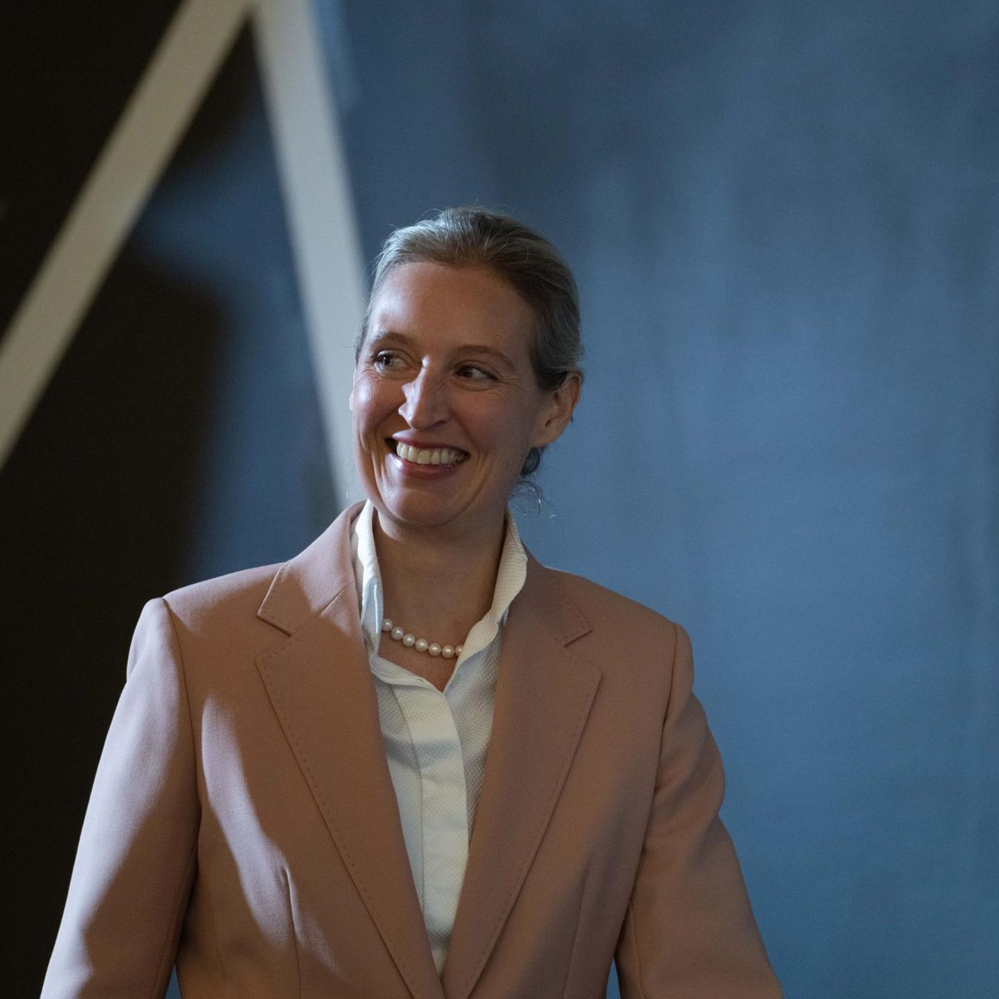 AfD-Chefin Alice Weidel lächelt