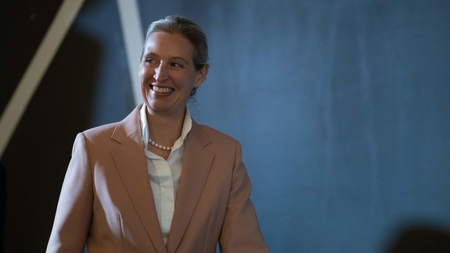 Verfassungsschutz: Dobrindt lässt AfD-Gutachten prüfen