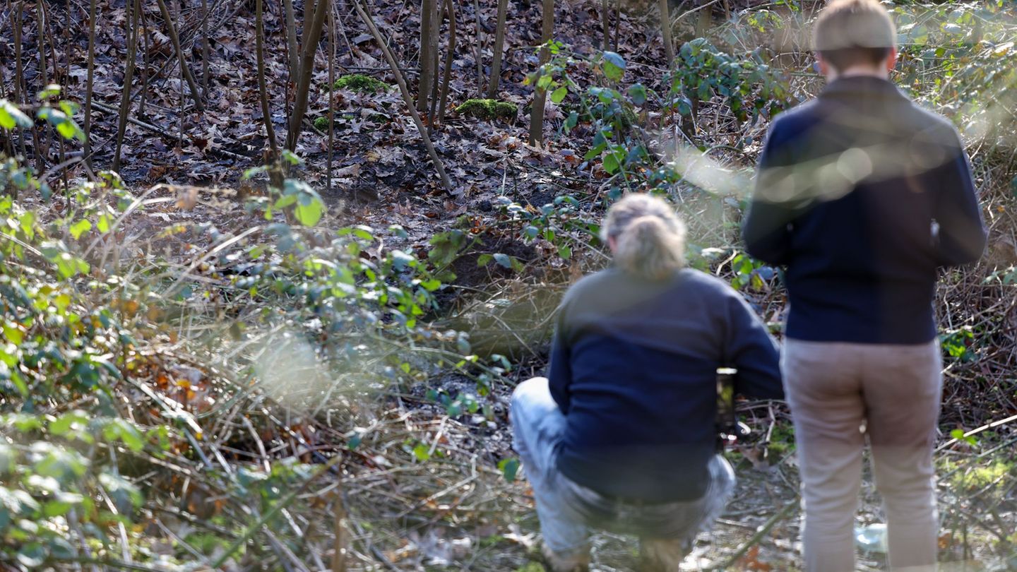 Journalisten stehen an der Stelle in einem Waldstück in Duisburg-Beeck, wo am Dienstag eine Frauenleiche entdeckt wurde. Jetzt g