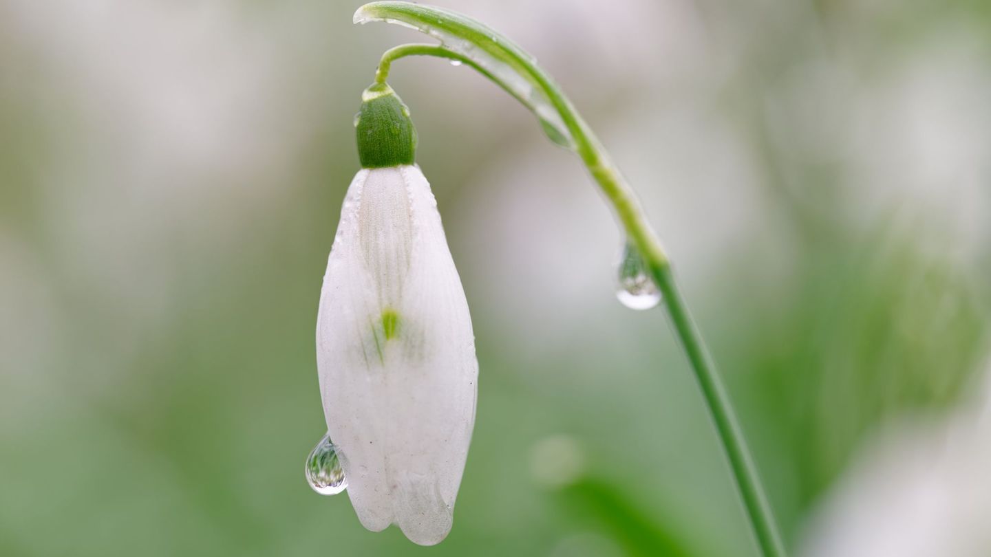 Nach frühlingshaften Temperaturen schlägt das Wetter im Südwesten um. (Archivbild) Foto: Uwe Anspach/dpa