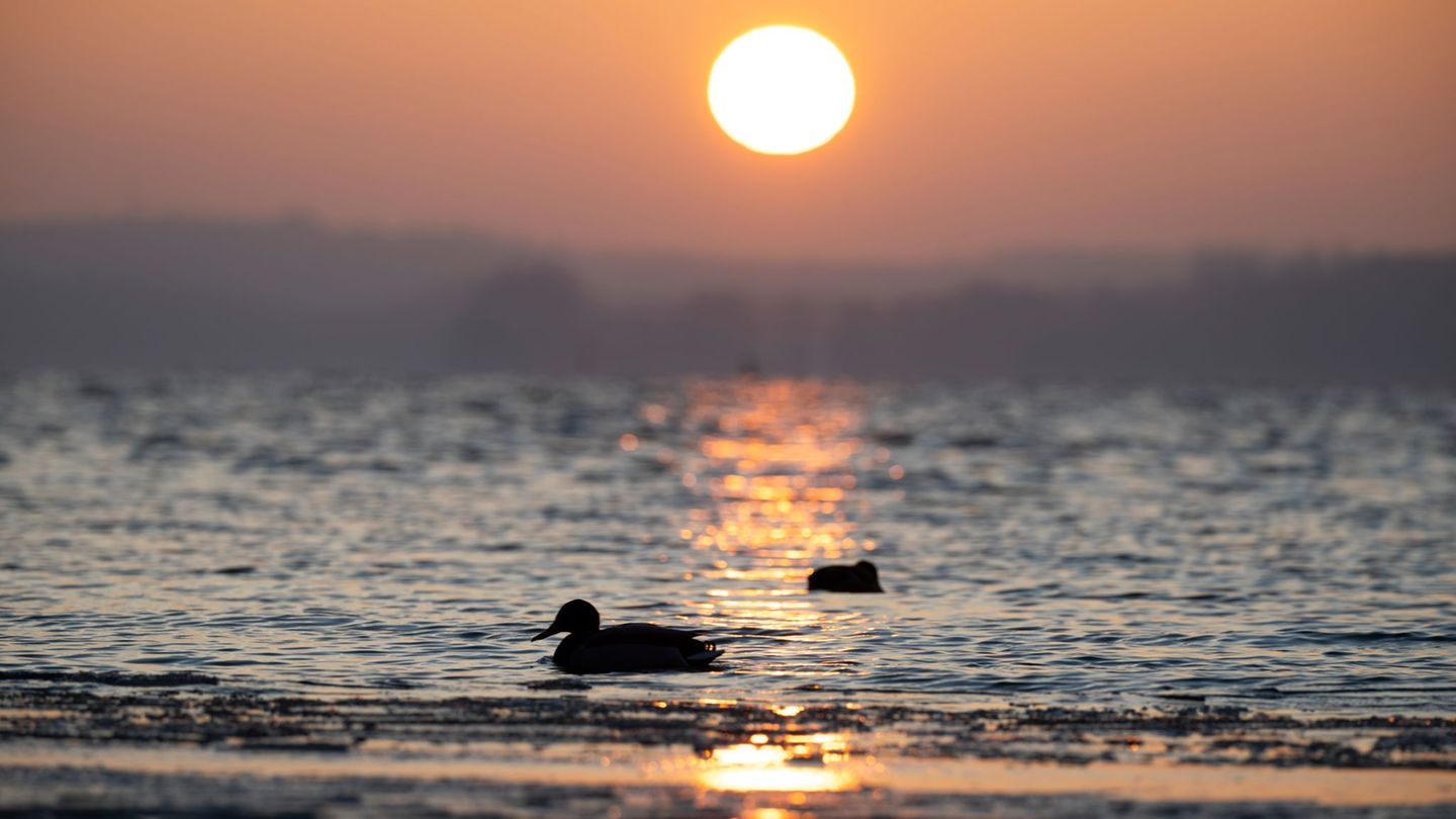 Wetter: Wolken, Regen, Sonne – wechselhaftes Wetter in MV erwartet