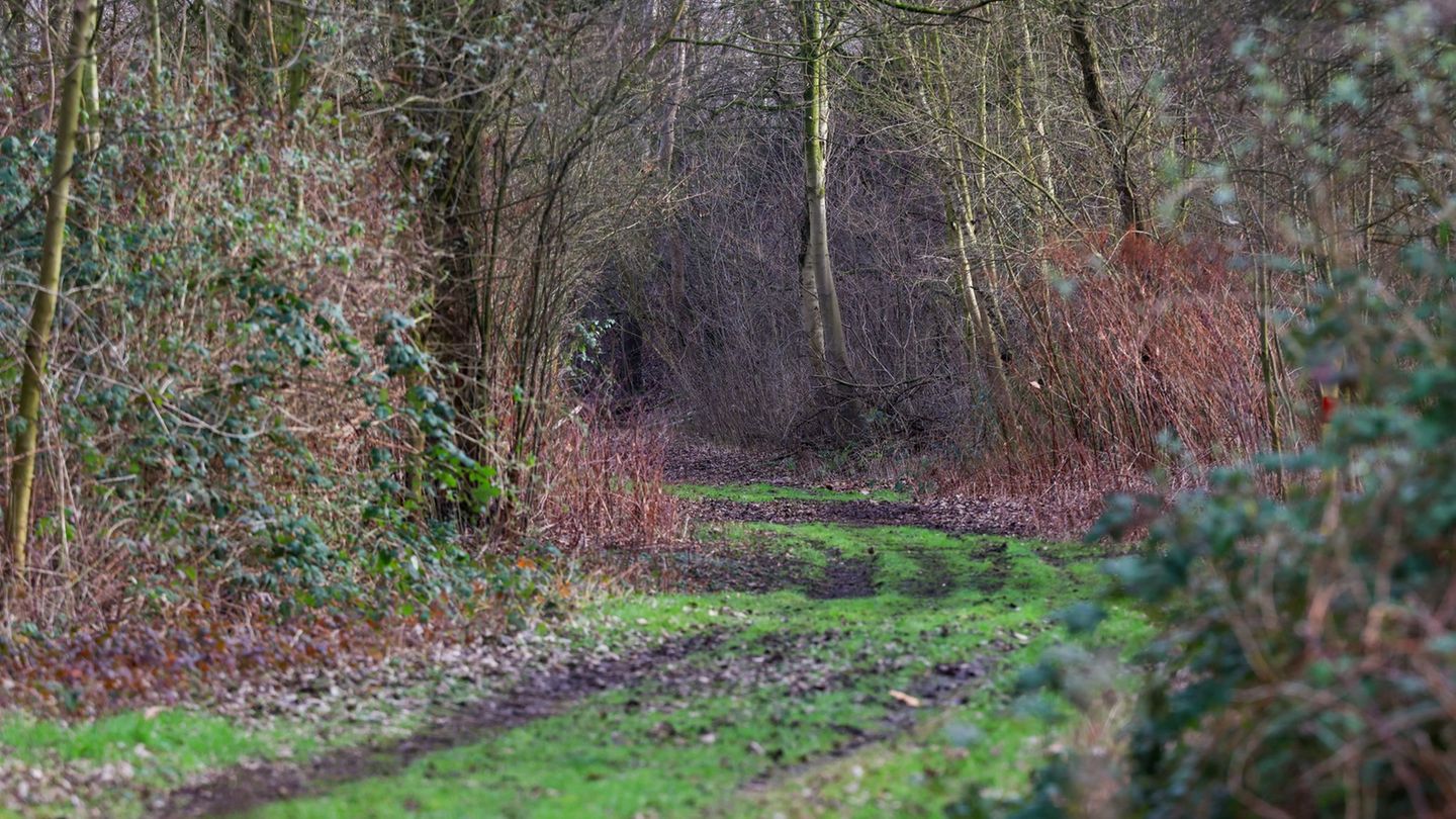 Fund einer Frauenleiche: Polizei Duisburg nimmt 23-Jährigen fest