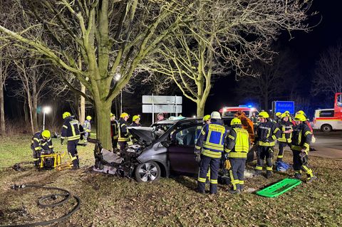 Das Auto war auf dem Rastplatz Walchum in einen Baum gerast. Foto: Matthias Brüning/dpa