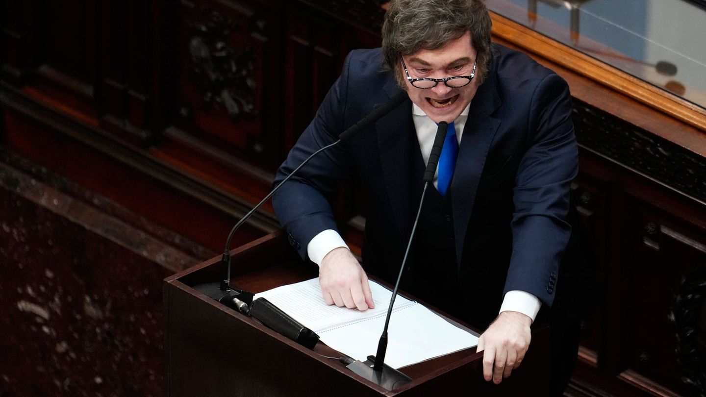 Rede zur Lage der Nation: Milei will Argentiniens Wirtschaft weiter deregulieren