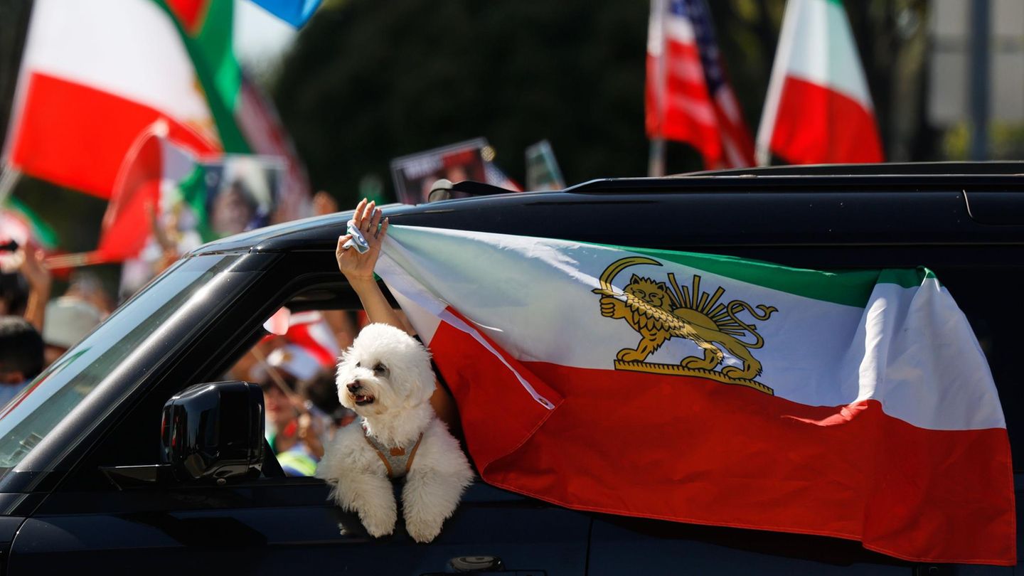Los Angeles, USA. Ein Autofahrer fährt samt Iran-Flagge und Hund durch die Straßen der Metropole im Bundesstaat Kalifornien. Die US-amerikanischen und israelischen Angriffe sorgten bei einigen Iranern in den Vereinigten Staaten für Freude.