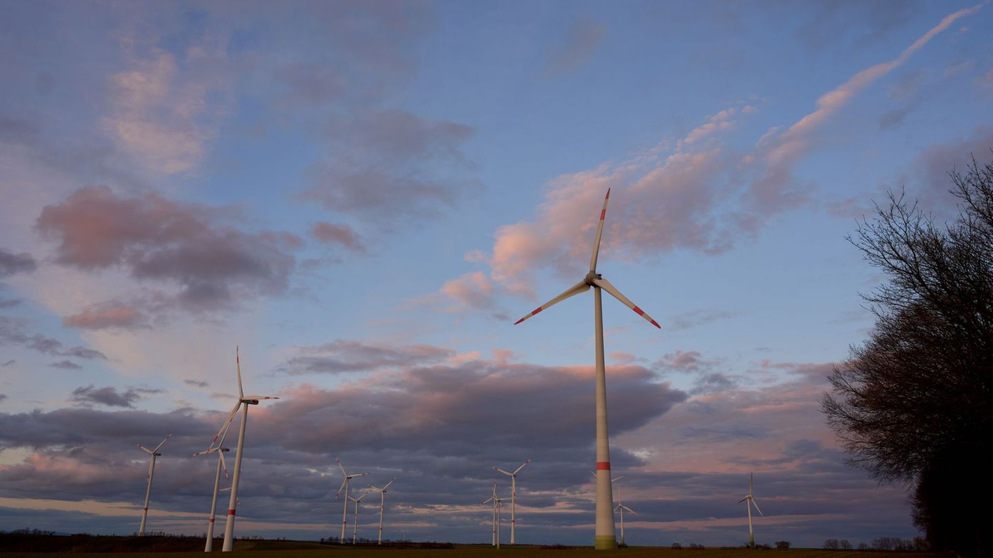 Energie: Naunhof stimmt gegen Windräder – Bürgerentscheid erfolgreich