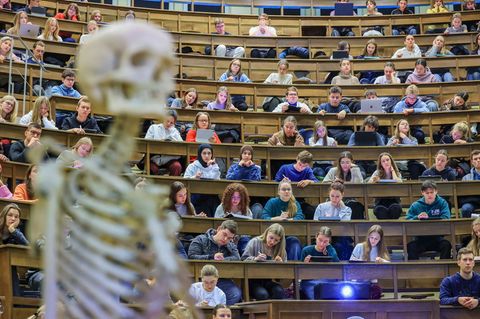 17 Medizin- und vier Zahnmedizinstudienplätze an der Universität Jena werden ab Herbst für eine Landarztquote reserviert. (Symbo