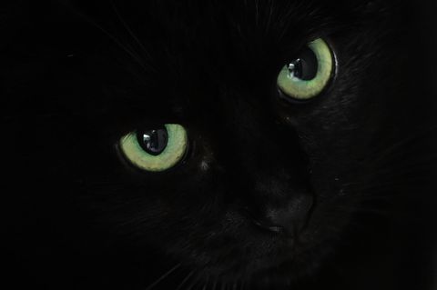 Bei einem umfangreichen Einsatz sind im Landkreis Hildburghausen in Thüringen durch Zufall Munition und Waffenteile sowie versch