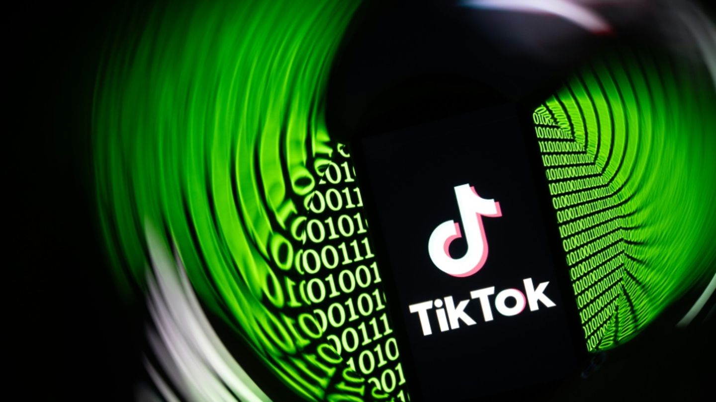 Wissenschaftler fordern Moratorium für Altersprüfung im Internet