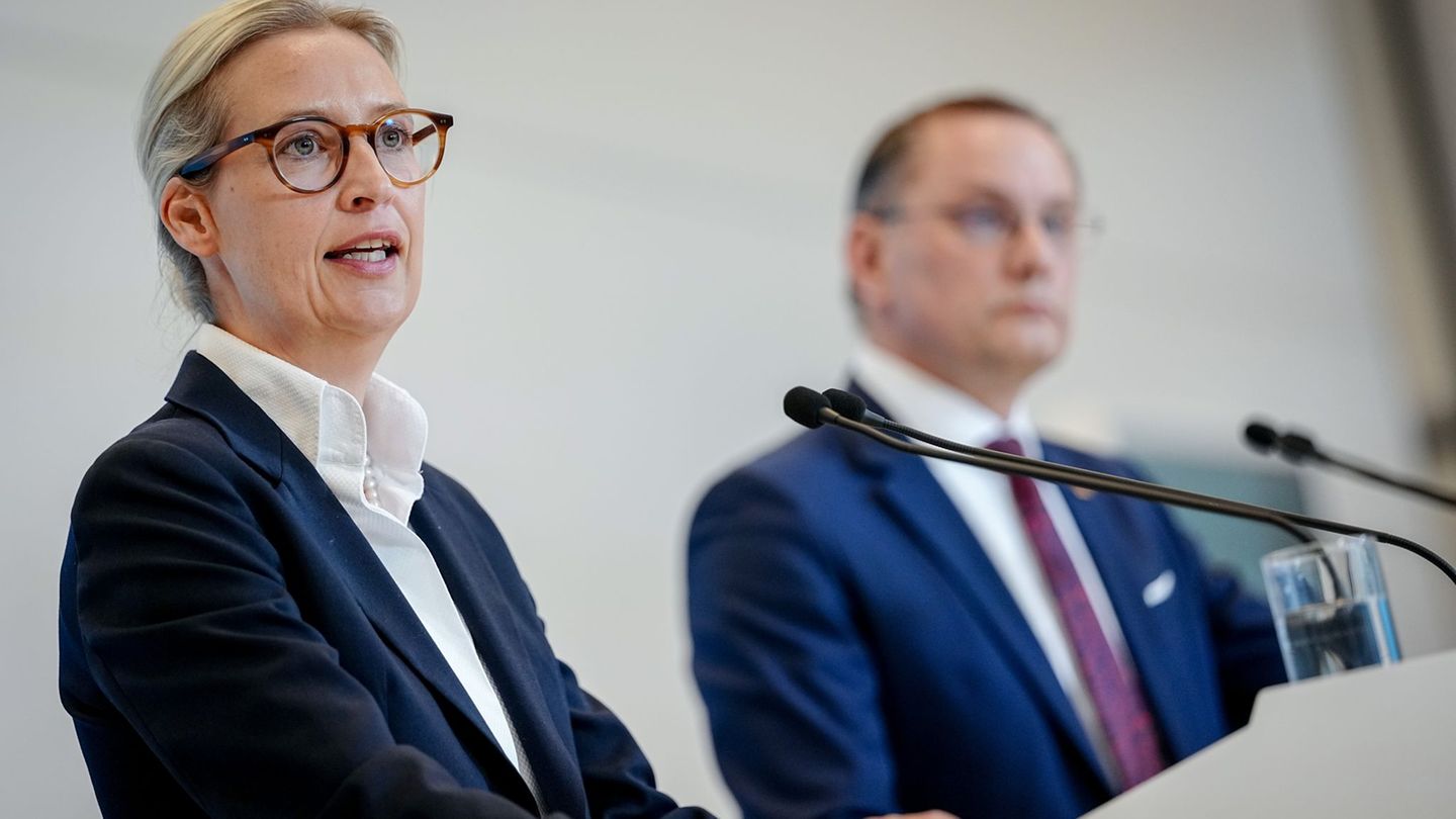 Alice Weidel und Tino Chrupalla stehen gemeinsam an der Spitze der AfD und sind auch Co-Vorsitzende der AfD-Bundestagsfraktion.