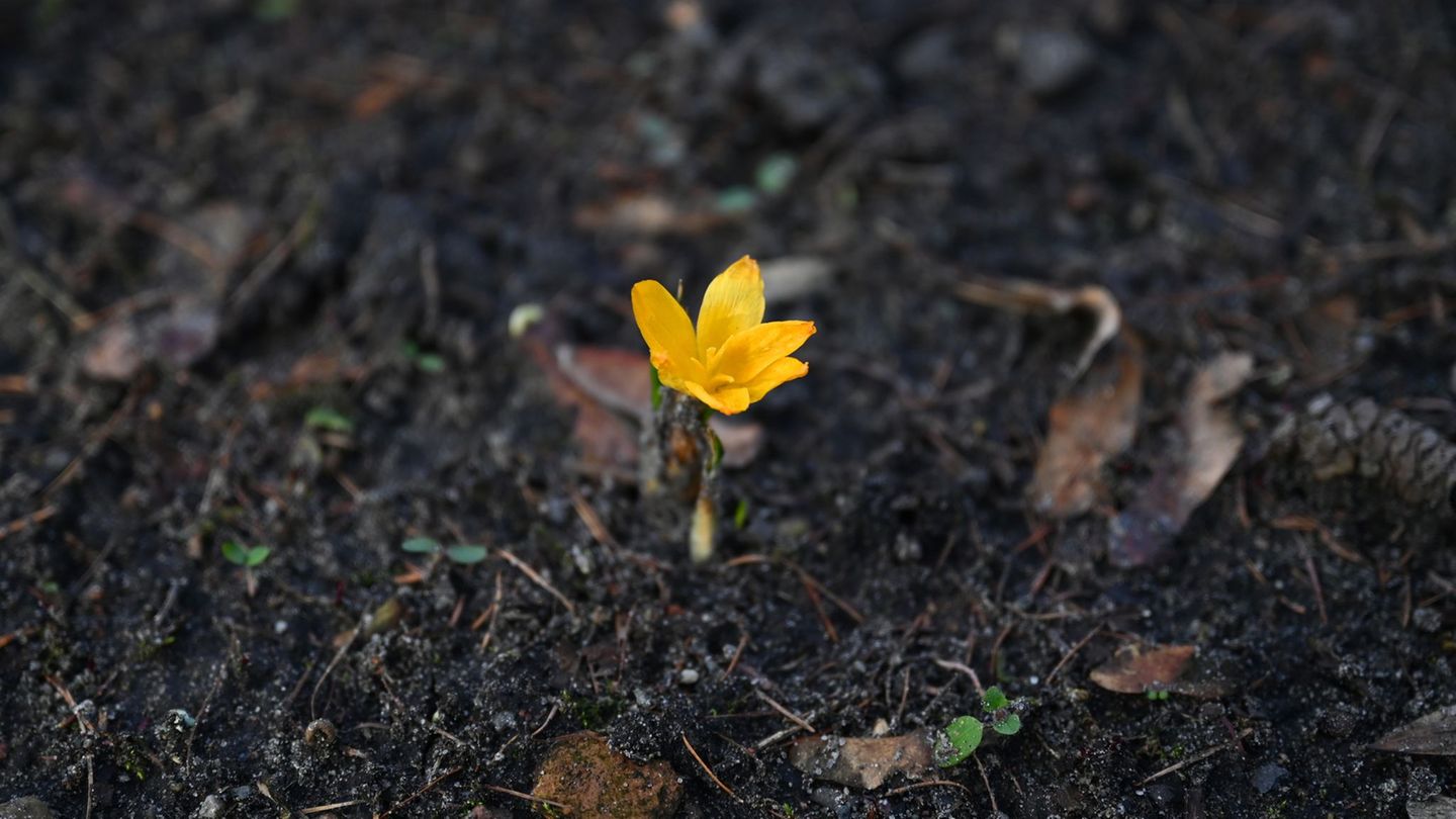 Wetter: Milde Tage und frostige Nächte in Berlin und Brandenburg