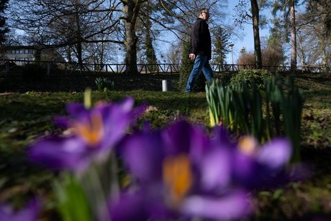 Das anhaltend freundliche Wetter lädt zu Spaziergängen ein. (Symbolbild) Foto: Florian Wiegand/dpa