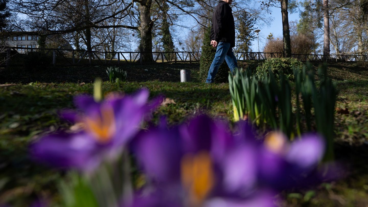 DWD-Prognose: Anhaltend mildes Wetter mit Sonne in Hessen