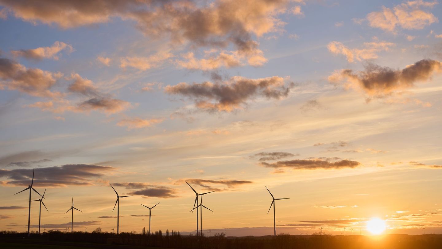 Die Sonne ist in den nächsten Tagen Stammgast. (Symbolbild) Foto: Thomas Frey/dpa