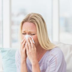 Ob es sich beim verstärkten Niesen um eine Erkältung oder Heuschnupfen handelt, lässt sich anhand der Symptome unterscheiden.