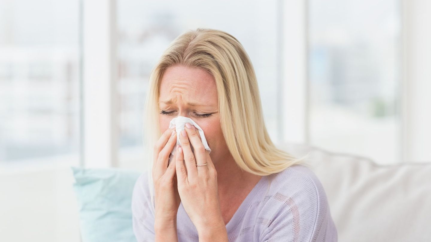 Ob es sich beim verstärkten Niesen um eine Erkältung oder Heuschnupfen handelt, lässt sich anhand der Symptome unterscheiden.