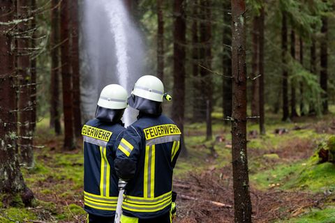 Die Feuerwehr bekämpfte den Brand am Waldboden. (Symbolbild) Foto: Daniel Karmann/dpa