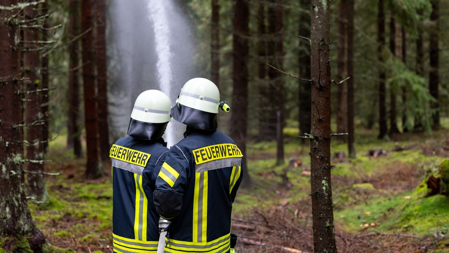 Die Feuerwehr bekämpfte den Brand am Waldboden. (Symbolbild) Foto: Daniel Karmann/dpa