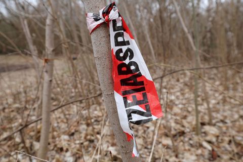 Einen grausigen Fund hat ein Spaziergänger in der Rostocker Südstadt gemacht: eine Leiche in einer Art selbstgebauten Schubkarre
