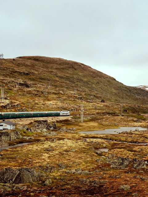 Norwegen auf Schienen: die Bergenbahn bei Finse