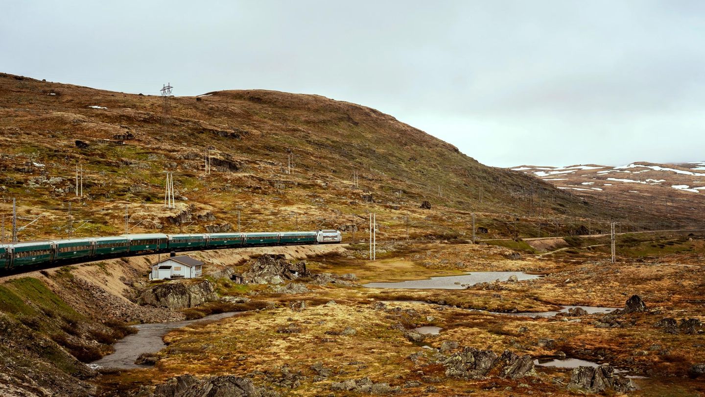Bergenbahn: Und wenn Sie nur noch eine Zugreise machen, dann machen Sie diese!
