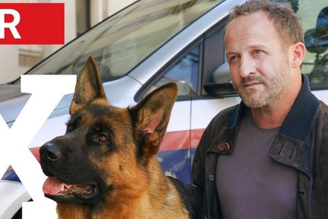 "Kommissar Rex": Rex und Max Steiner (Maximilian Brückner) sind ein Team.