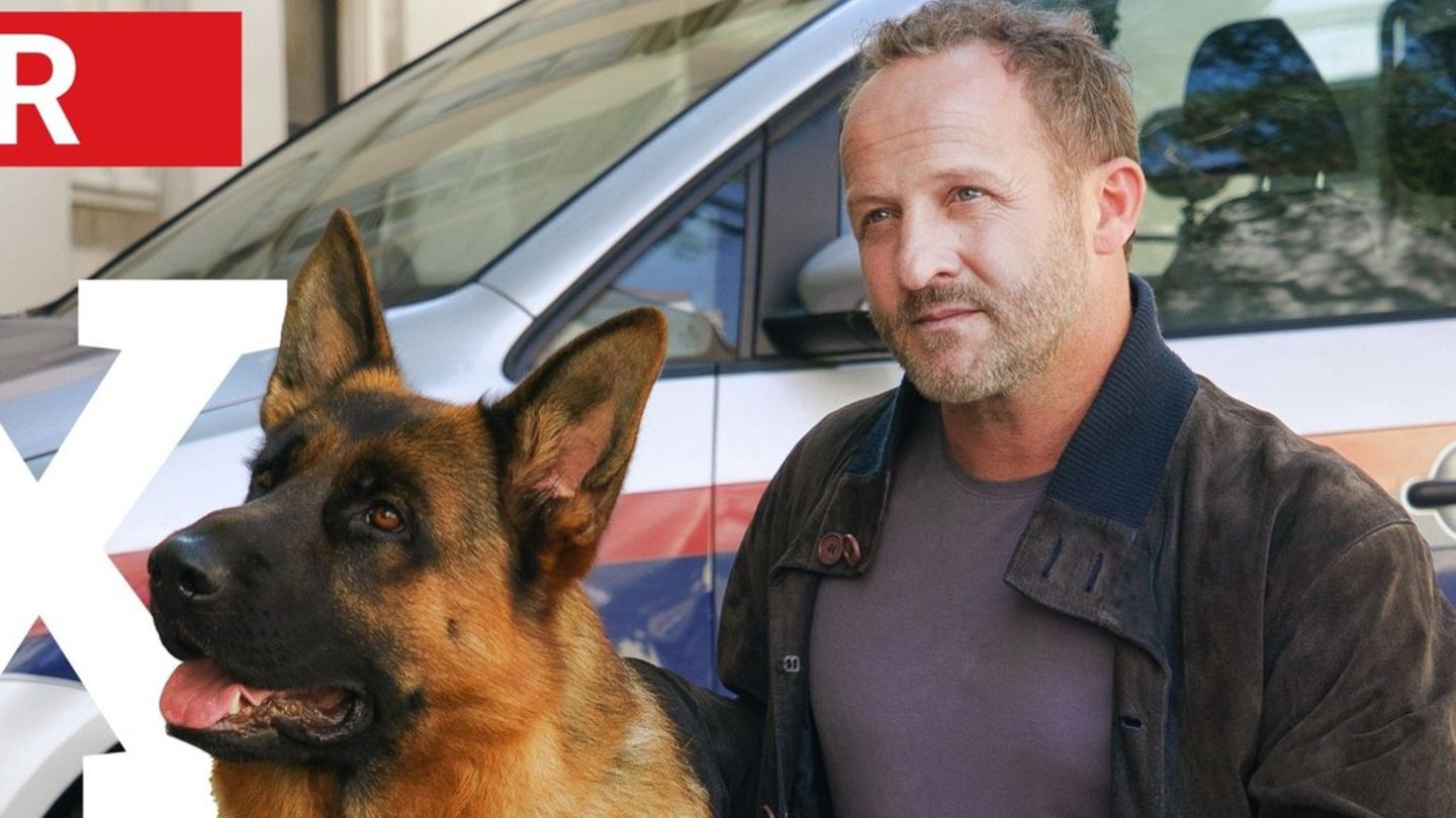 "Kommissar Rex": Rex und Max Steiner (Maximilian Brückner) sind ein Team.