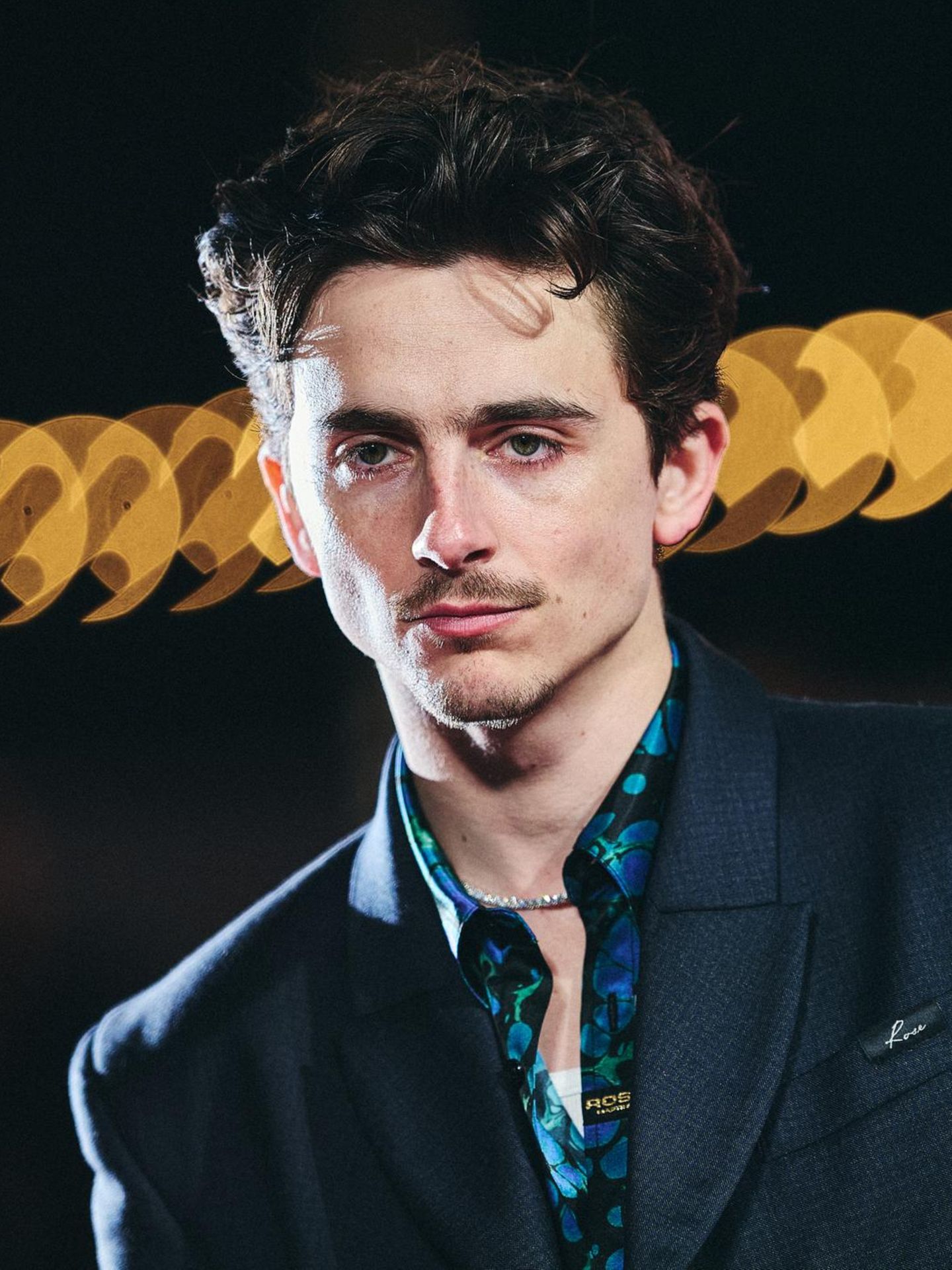 Timothée Chalamet