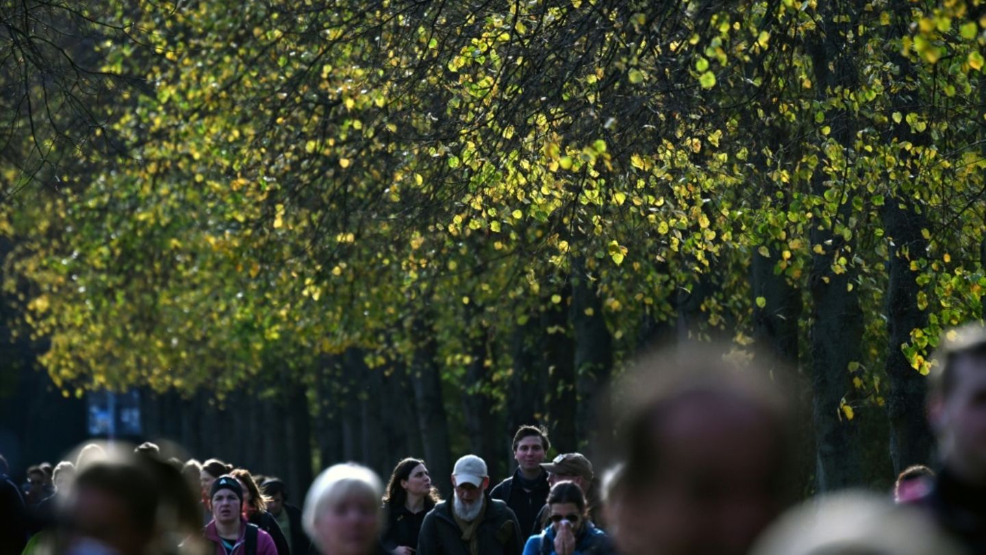 Menschen laufen in Berlin unter Bäumen