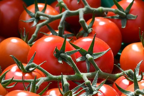 Tomaten machten einen Großteil der Ernte aus. (Symbolbild) Foto: picture alliance / dpa