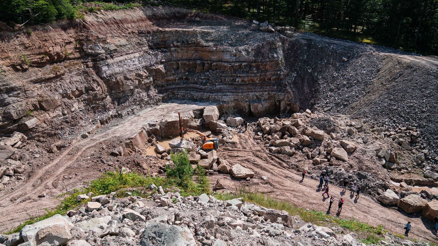 In diesem Steinbruch wurden 2021 die Funde gemacht, die nun ausgestellt werden. (Archivbild) Foto: Nicolas Armer/dpa
