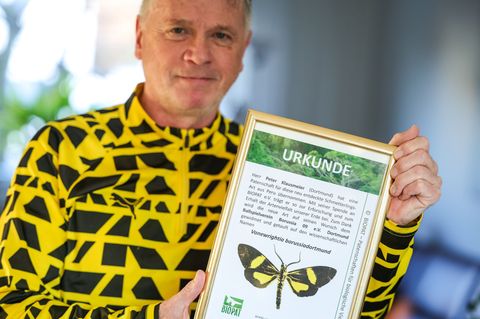 Passt bestens zusammen: Ein schwarz-gelber Schmetterling und sein Namenspate, der BVB-Fan und Biologe Peter Klausmeier Foto: Chr