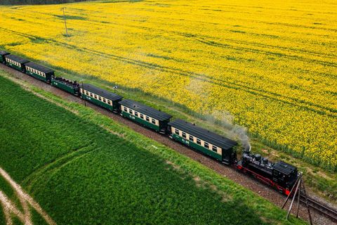 Eine Fahrt mit dem "Rasenden Roland" auf Rügen kostet seit Februar einen Euro mehr. (Archivbild) Foto: Jens Büttner/dpa