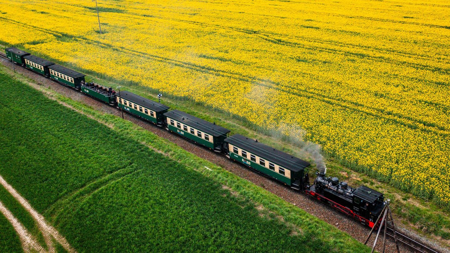 Kultur und Freizeit: So viel teurer werden Museen, Kurtaxe und Co. in MV