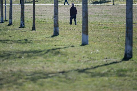 In Baden-Württemberg bleibt es Frühlingshaft. Foto: Marijan Murat/dpa