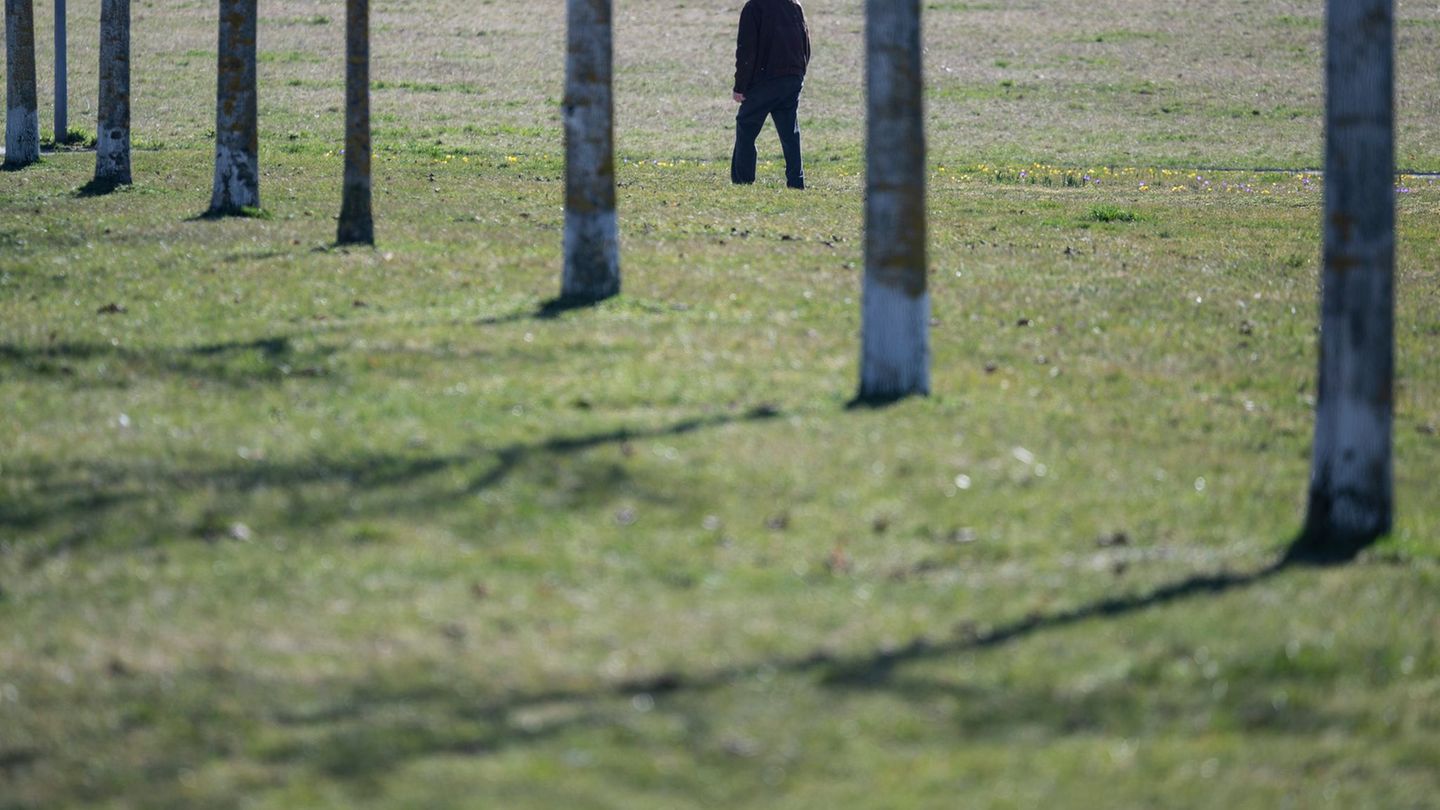 In Baden-Württemberg bleibt es Frühlingshaft. Foto: Marijan Murat/dpa