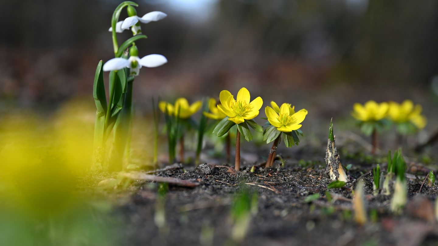 DWD-Prognose: Mildes Frühlingswetter hält in Hessen weiter an
