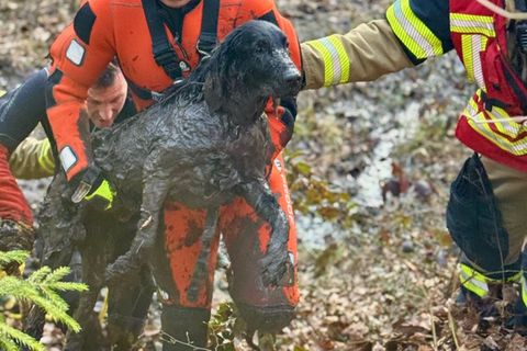 Hunderettung der Feuerwehr