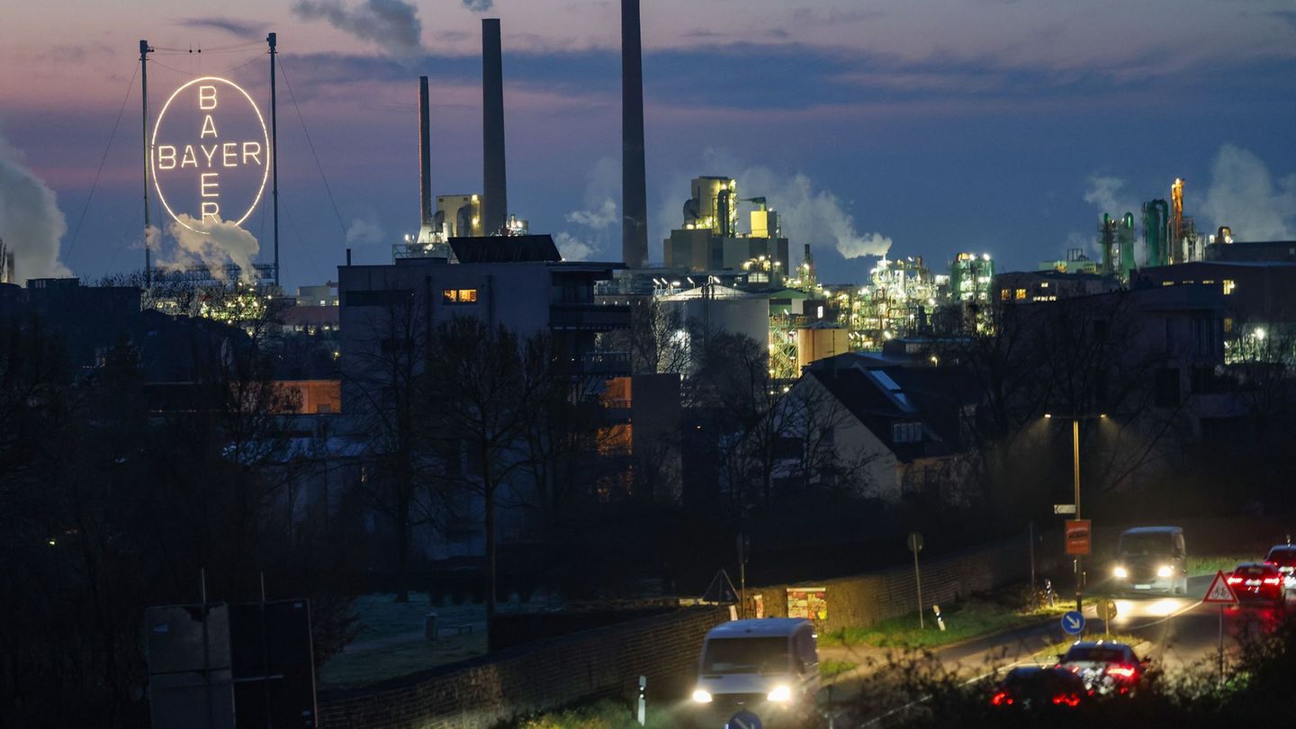 Bayer steckt in den roten Zahlen. Foto: Oliver Berg/dpa