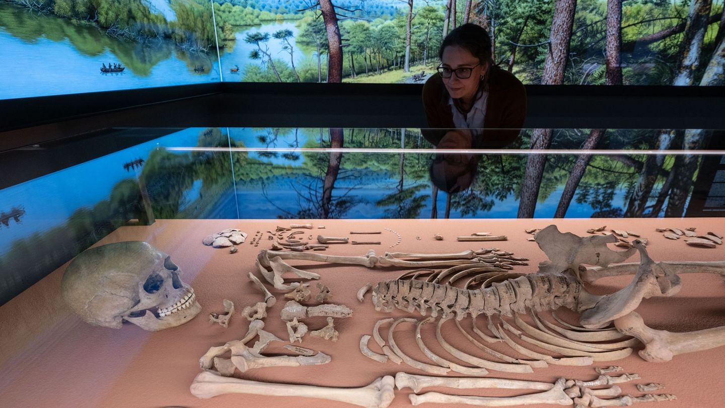 Archäologie: Grab der Schamanin enthielt möglicherweise Blumen